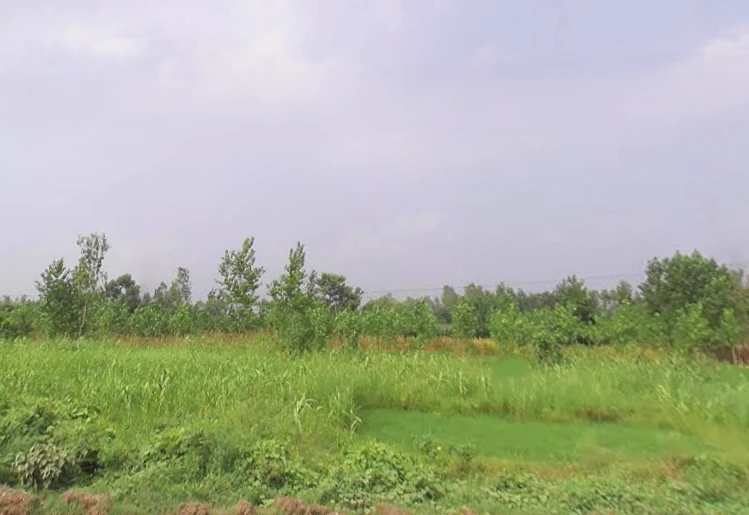 Muzaffarabad, Uttar Pradesh 247129, India