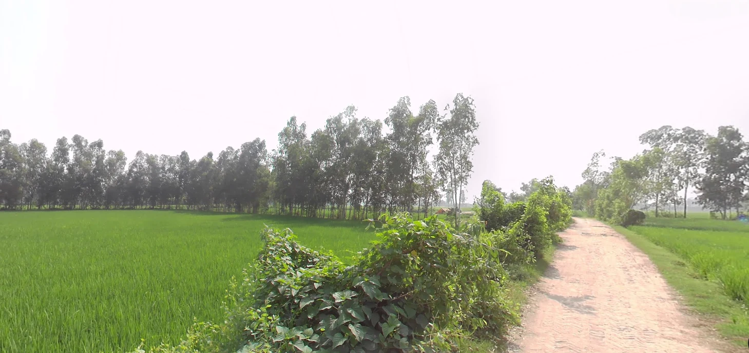 Rampur, Uttar Pradesh, India