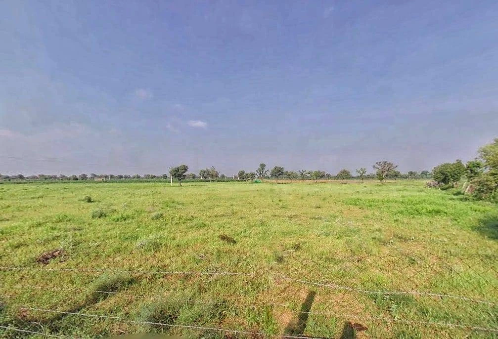 PMRM+4W7, Panwaliya, Rajasthan 303904, India