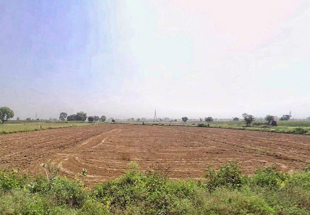 629R+5GV, Badangarhi, Rajasthan 321606, India