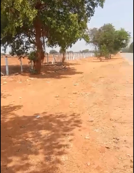 Vangoor, Telangana 509349, India