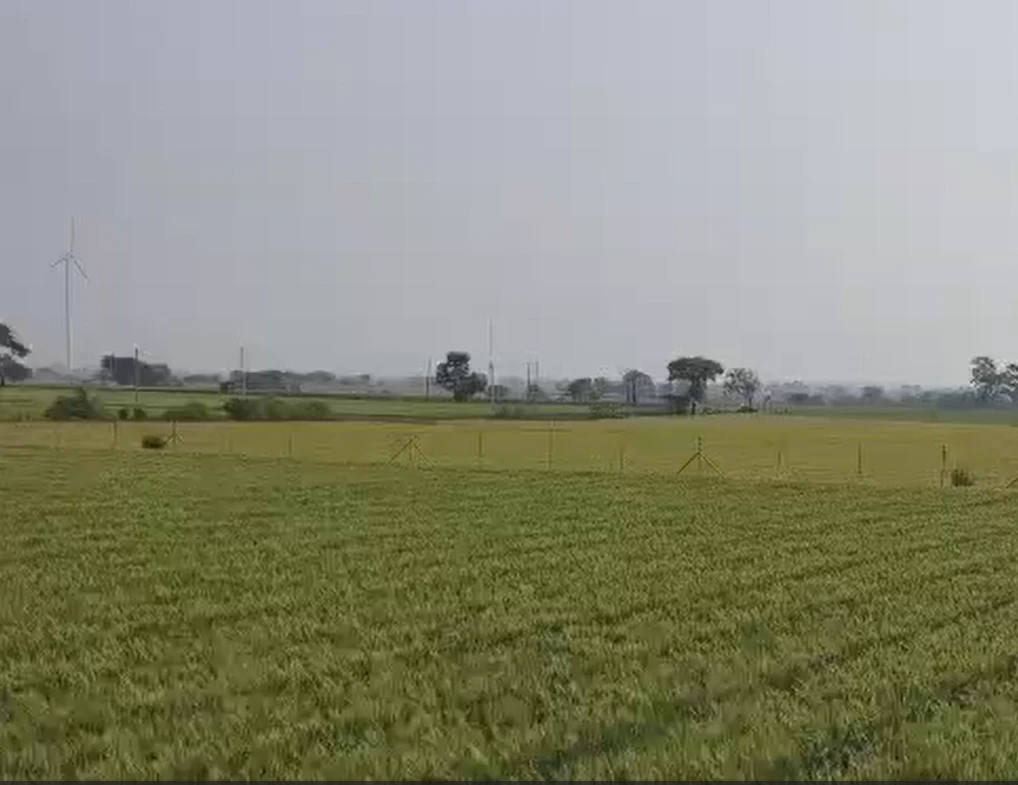 Sala Khedi, Ratlam, Madhya Pradesh 457001, India
