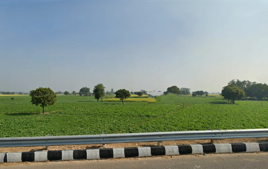 Sunrakh Bangar, Uttar Pradesh, India