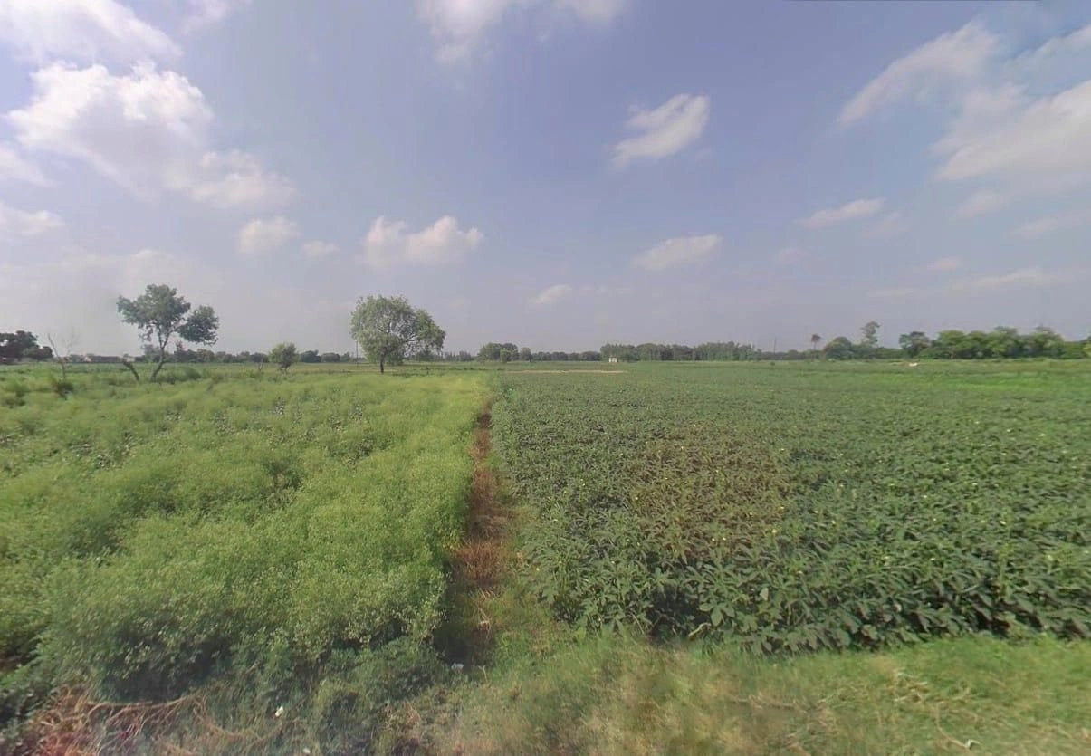 Uldhan, Uttar Pradesh 245206, India