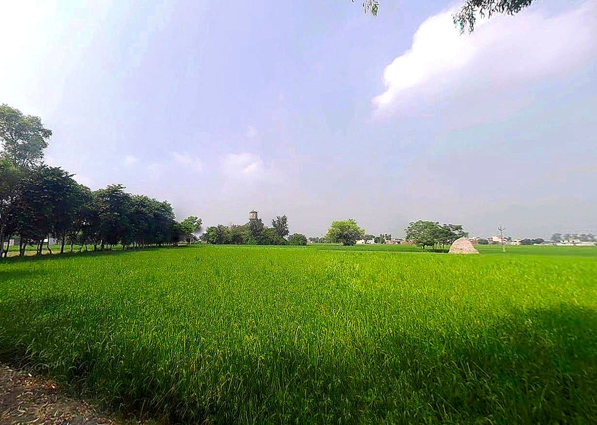 Sea Beach Of Puri, Puri, Odisha 752001, India
