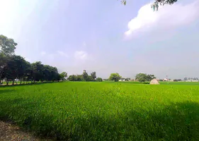 Sea Beach Of Puri, Puri, Odisha 752001, India preview 2