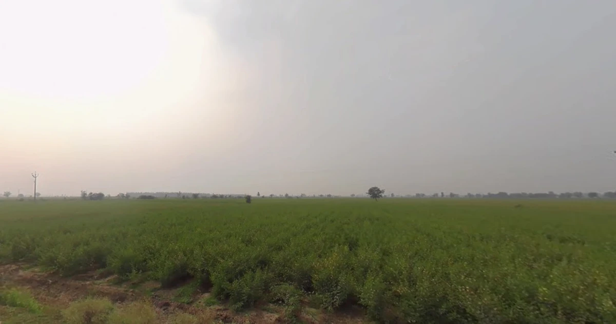 Lakadiya, Gujarat, India