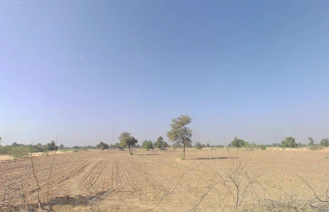 V5WM+2HV, Bandai, Rajasthan 306421, India