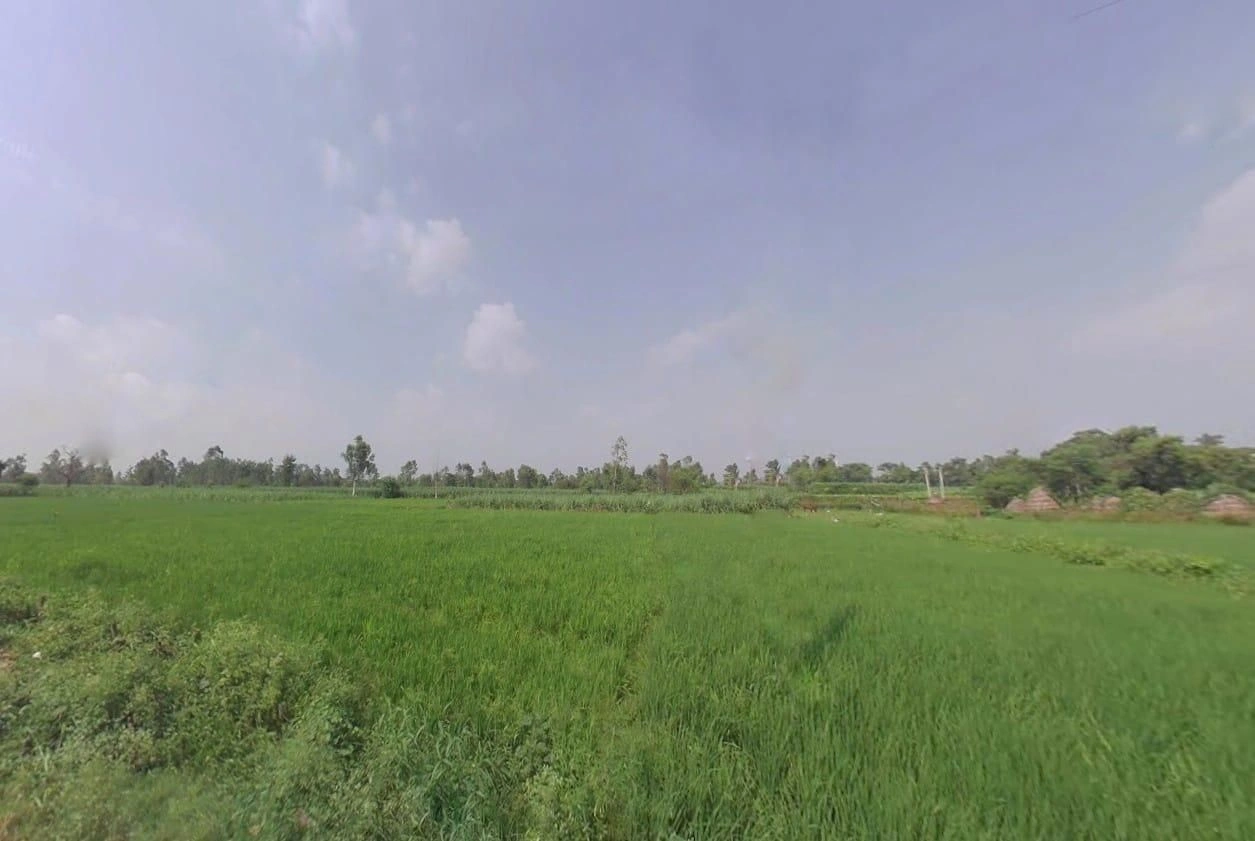 5JFC+MRQ, Jhitkari, Uttar Pradesh 250342, India