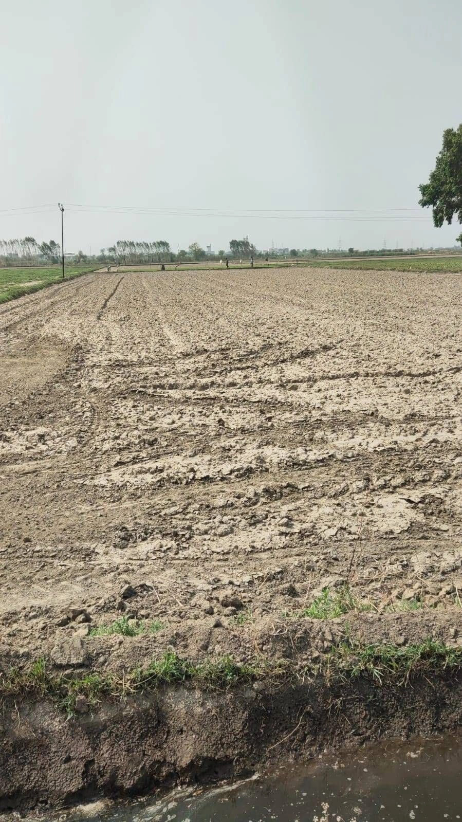 Ajijpur, Uttar Pradesh, India