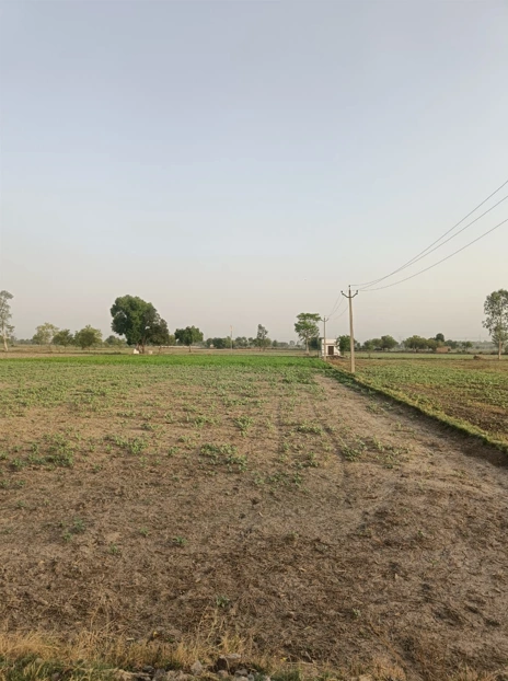 J2PW+CXR, Bibiganj, Danapur Nizamat, Danapur, Patna, Bihar 801503, India preview 2