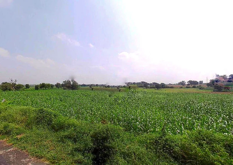 Kundura, Odisha 764002, India preview 2