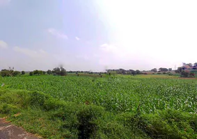 Kundura, Odisha 764002, India preview 2