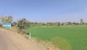 Jhirniya, Madhya Pradesh 462036, India preview 2