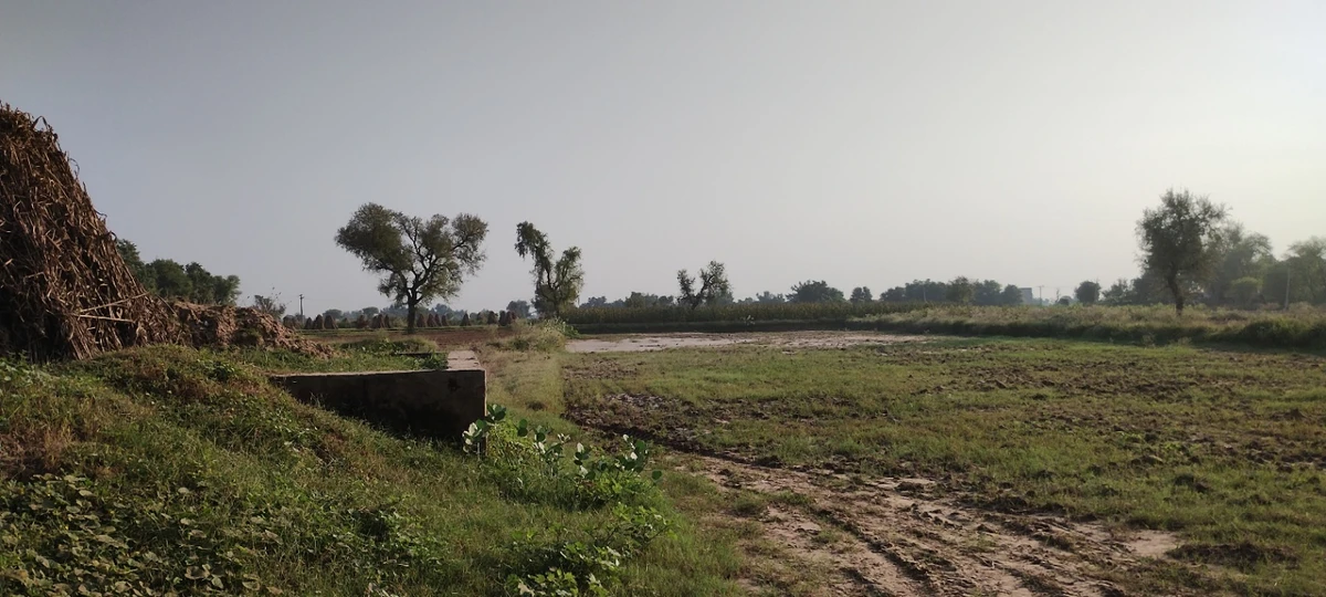 Semli, Rajasthan, India
