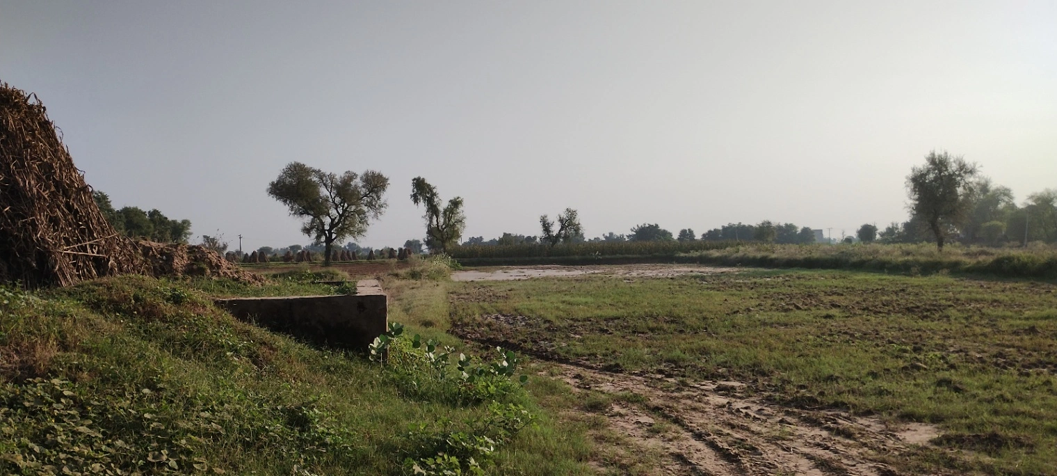 Semli, Rajasthan, India