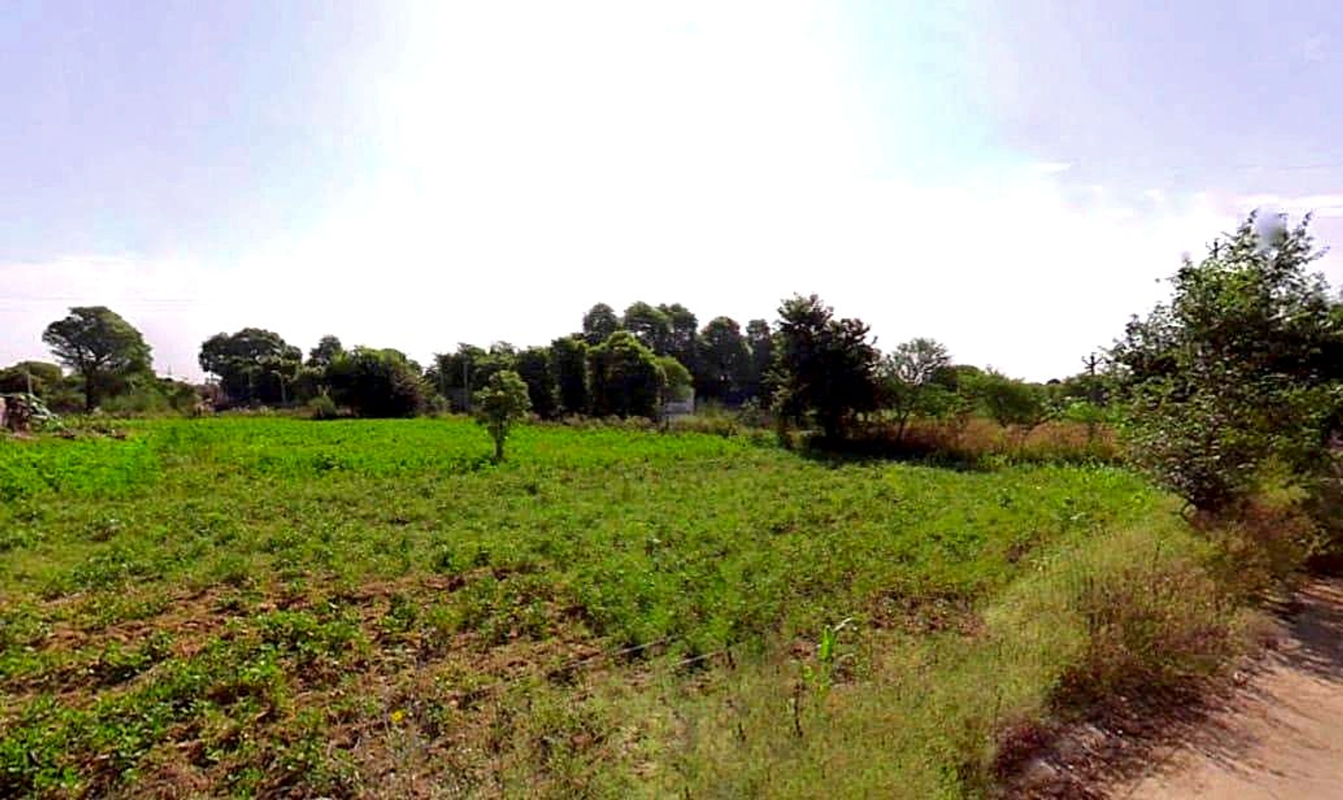 Chakur, Rajasthan, India