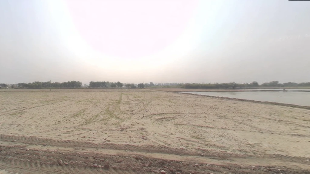 Samalkha, Haryana, India