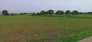 Prayagraj, Uttar Pradesh, India preview 3