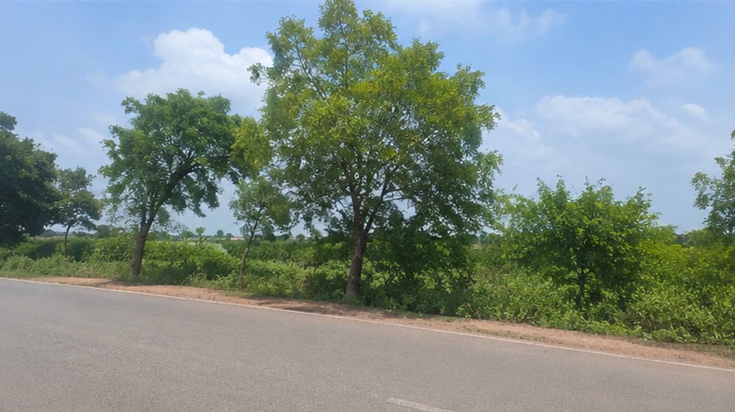 Kharkhoda, Sonipat, Haryana 131402, India