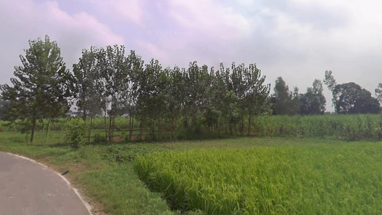Garh Mukteshwar, Uttar Pradesh 245205, India