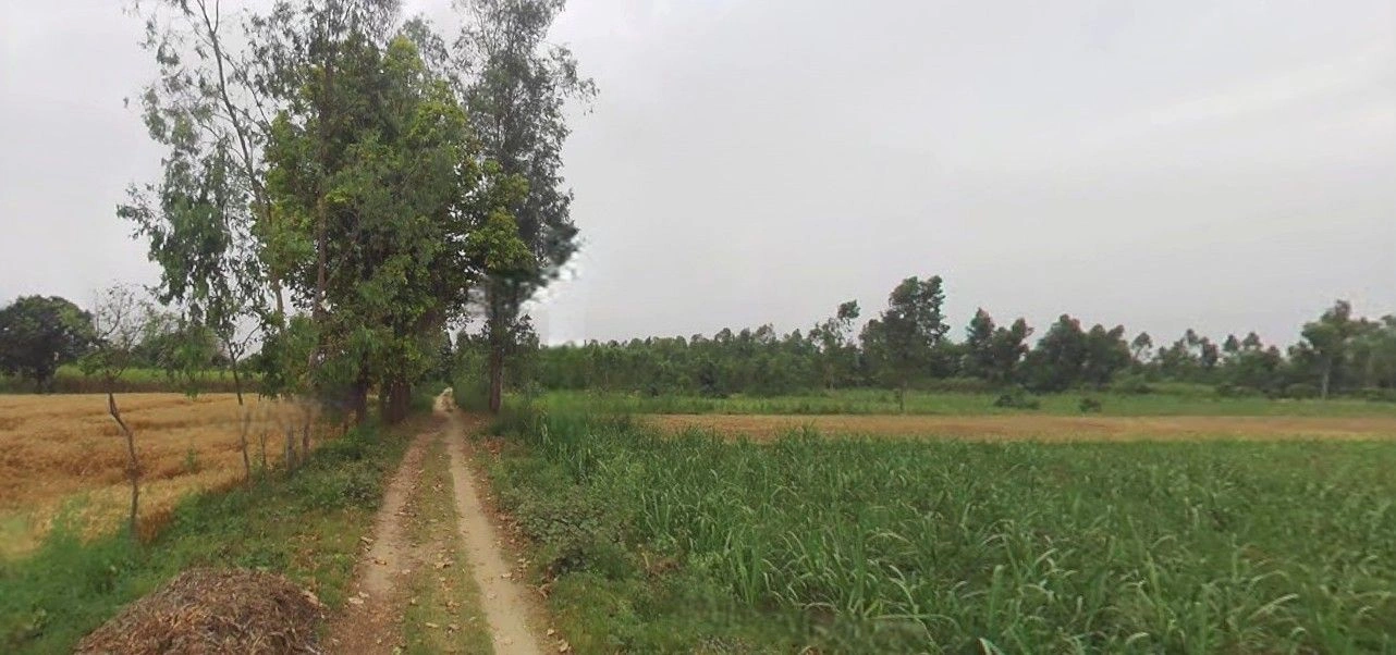 Suar, Uttar Pradesh 244924, India preview 3