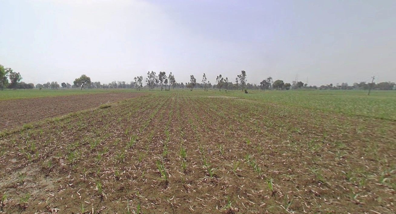 Tanda, Uttar Pradesh 244925, India