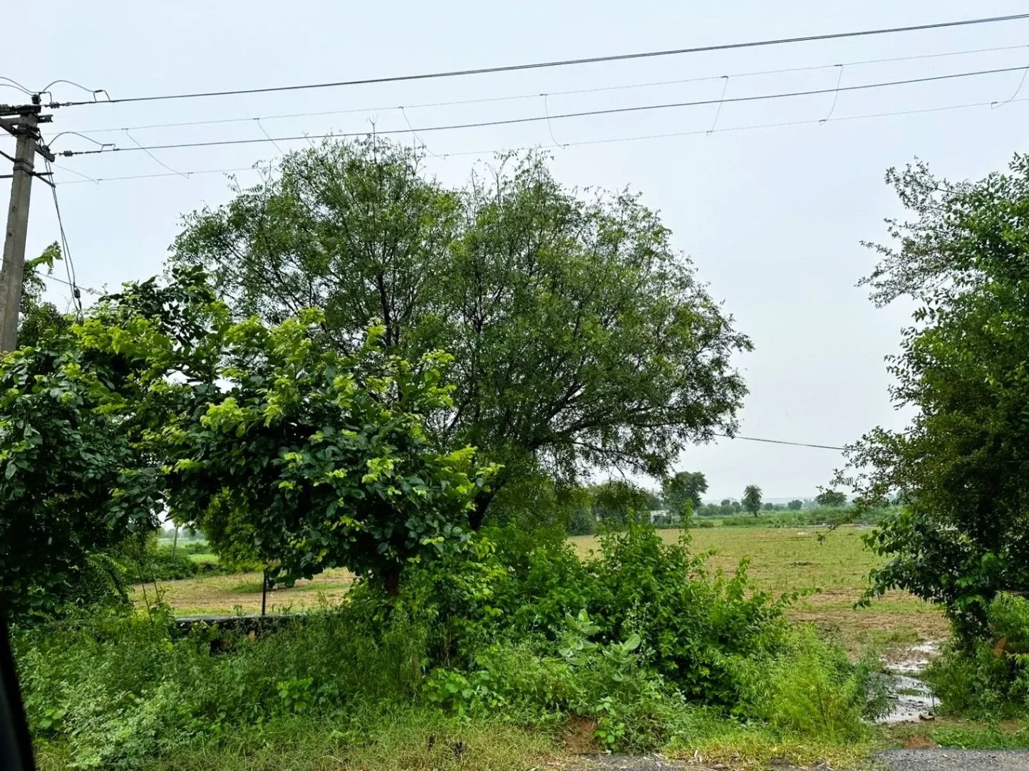 Kharoda, Haryana 122103, India