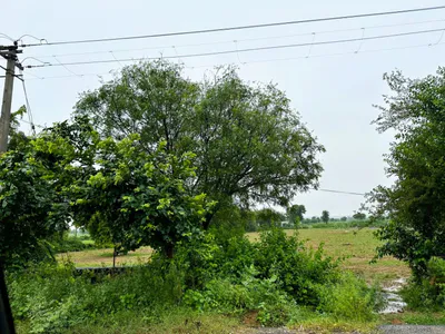 Kharoda, Haryana 122103, India preview 2
