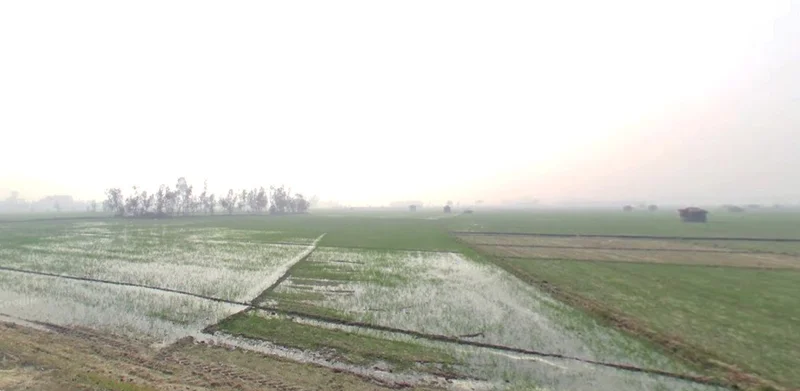 Khai Kheri, Uttar Pradesh 251310, India preview 2