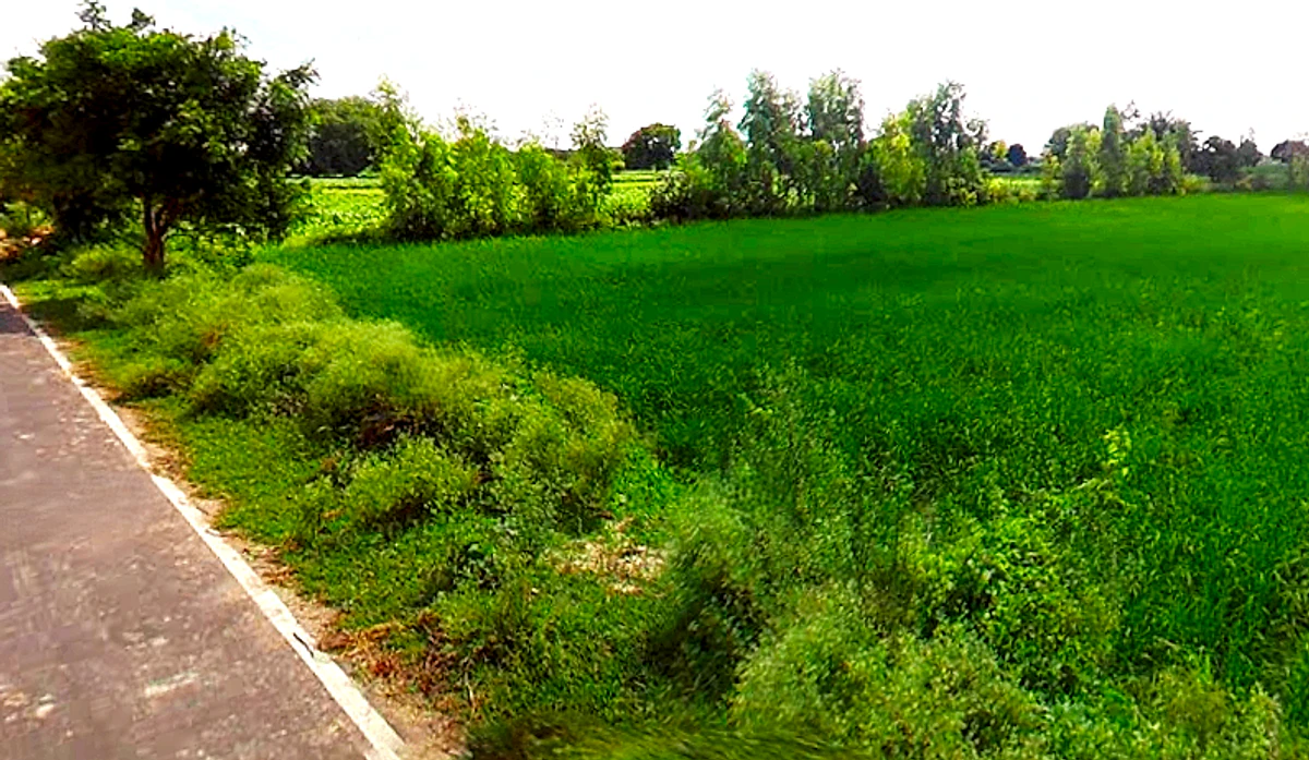 Ismailpur, Uttar Pradesh 202280, India