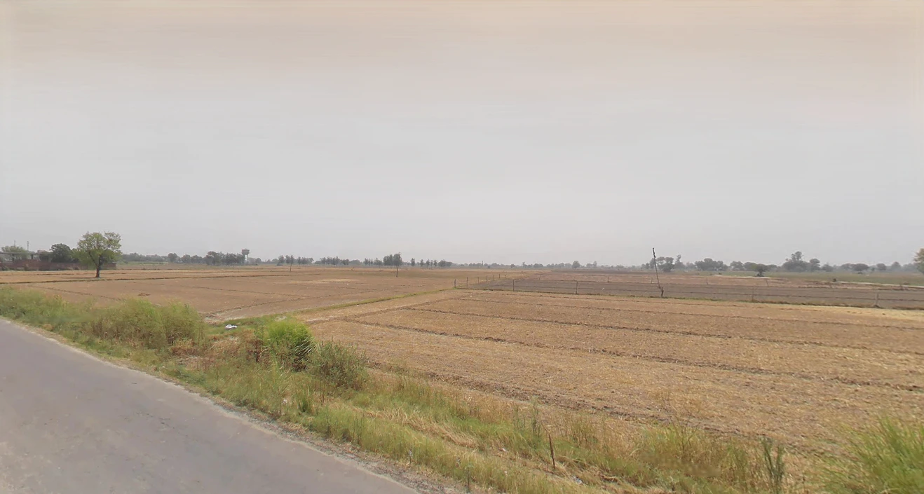 Shikarpur, Uttar Pradesh 203395, India