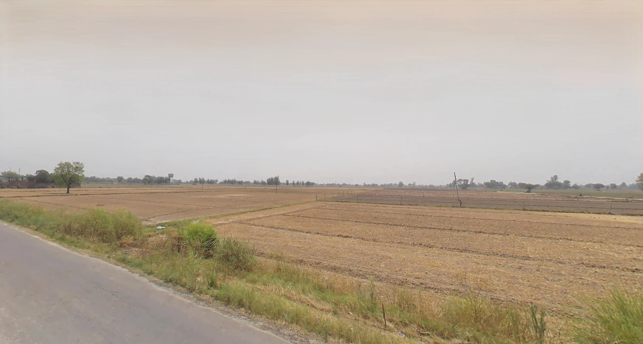 Shikarpur, Uttar Pradesh 203395, India