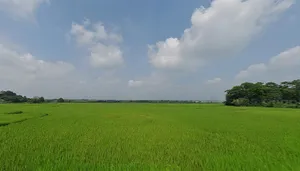 Katamkuli, Jharkhand, India preview 3