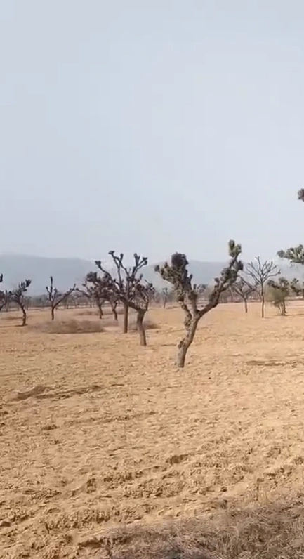 Danta Ramgarh, Rajasthan 332703, India