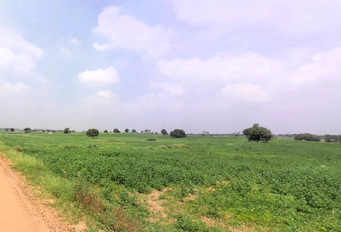 Tosham, Haryana 127040, India