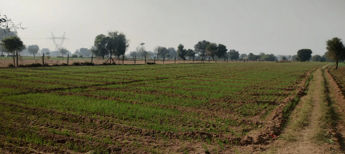 2PP7+5H Kotkasim, Khairthal-Tijara, Rajasthan, India
