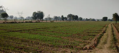 2PP7+5H Kotkasim, Khairthal-Tijara, Rajasthan, India preview 2