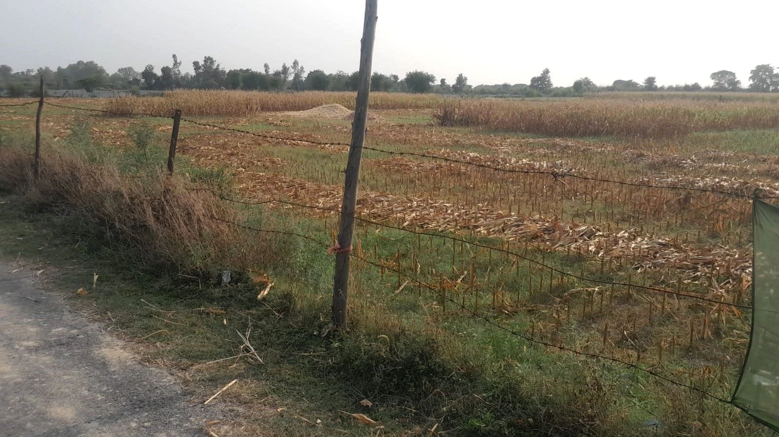 P675+X8 Dadera, Uttar Pradesh, India