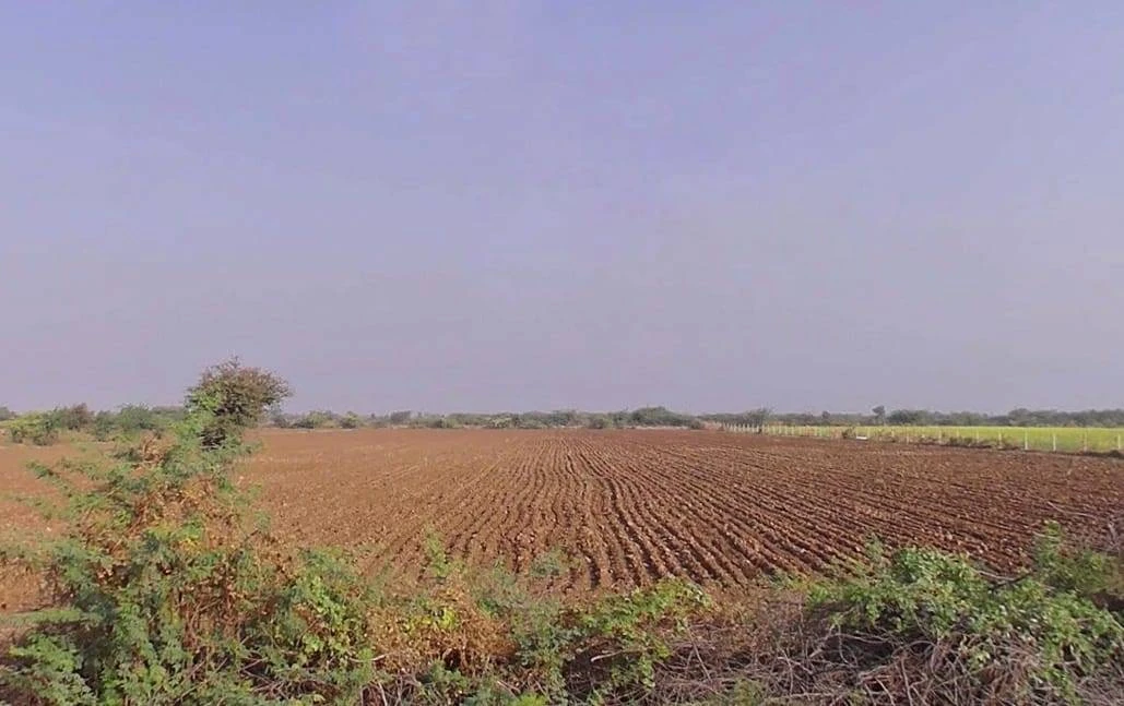 Sadawas, Rajasthan 306401, India