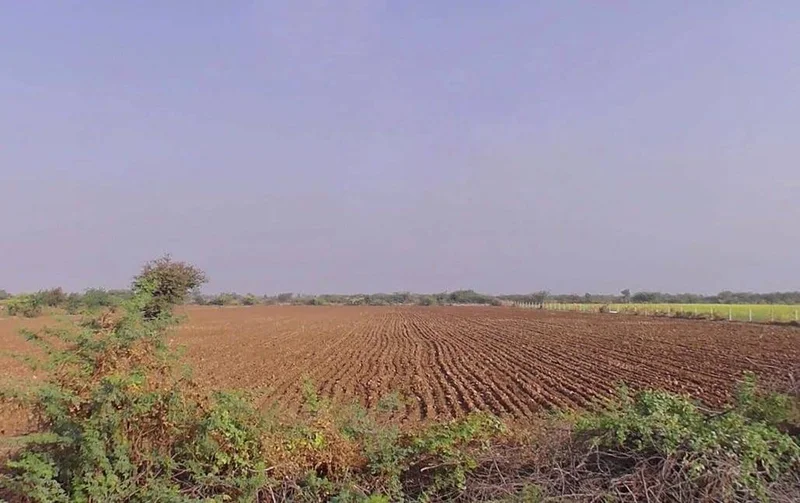 Sadawas, Rajasthan 306401, India preview 2