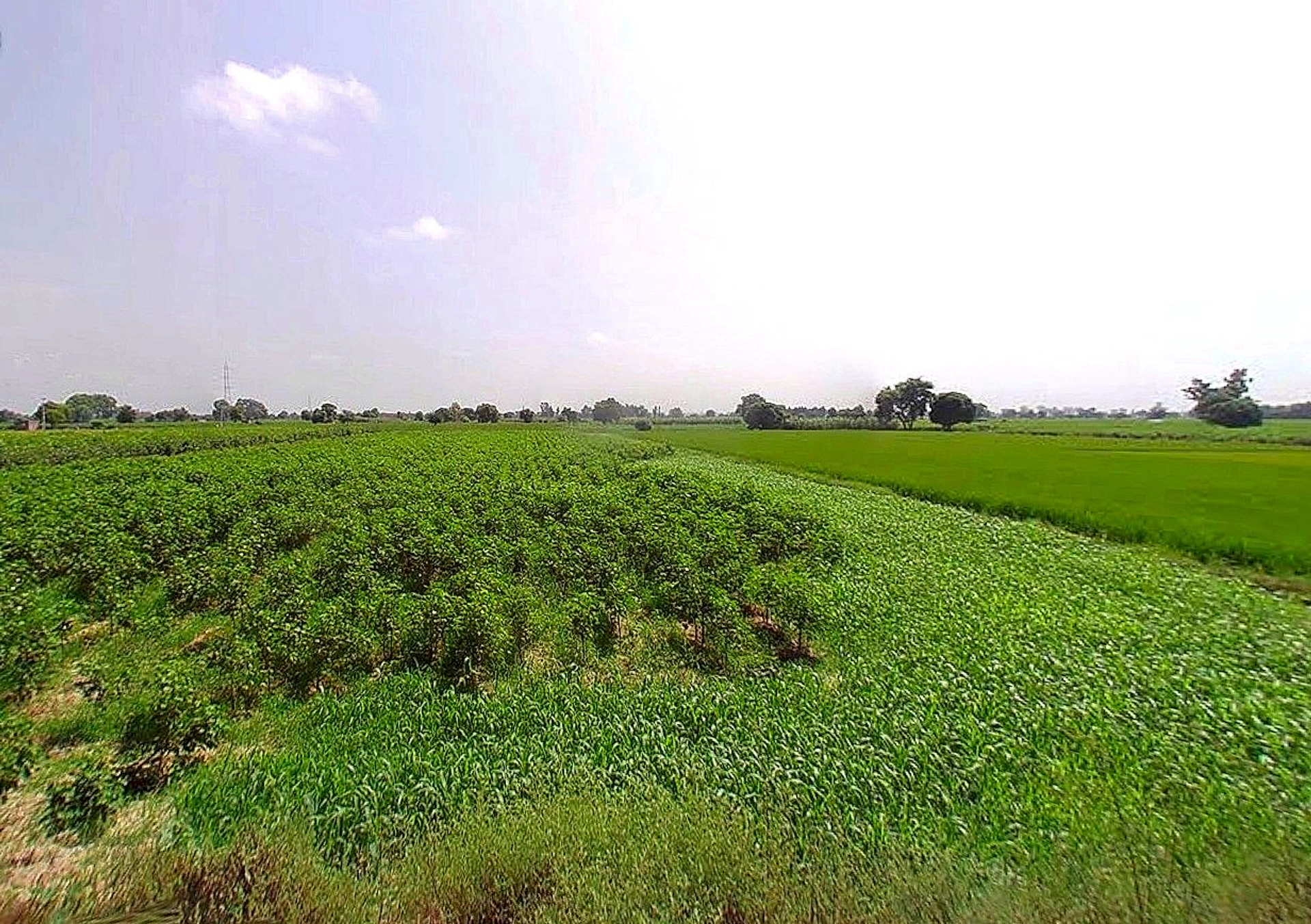 Konark Rd, Konark, Odisha 752111, India