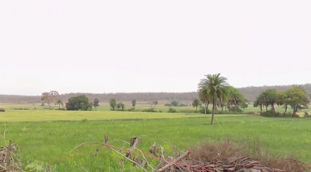 Hinotiya, Madhya Pradesh 464226, India
