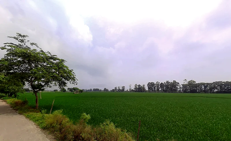 Taraori, Haryana, India preview 2