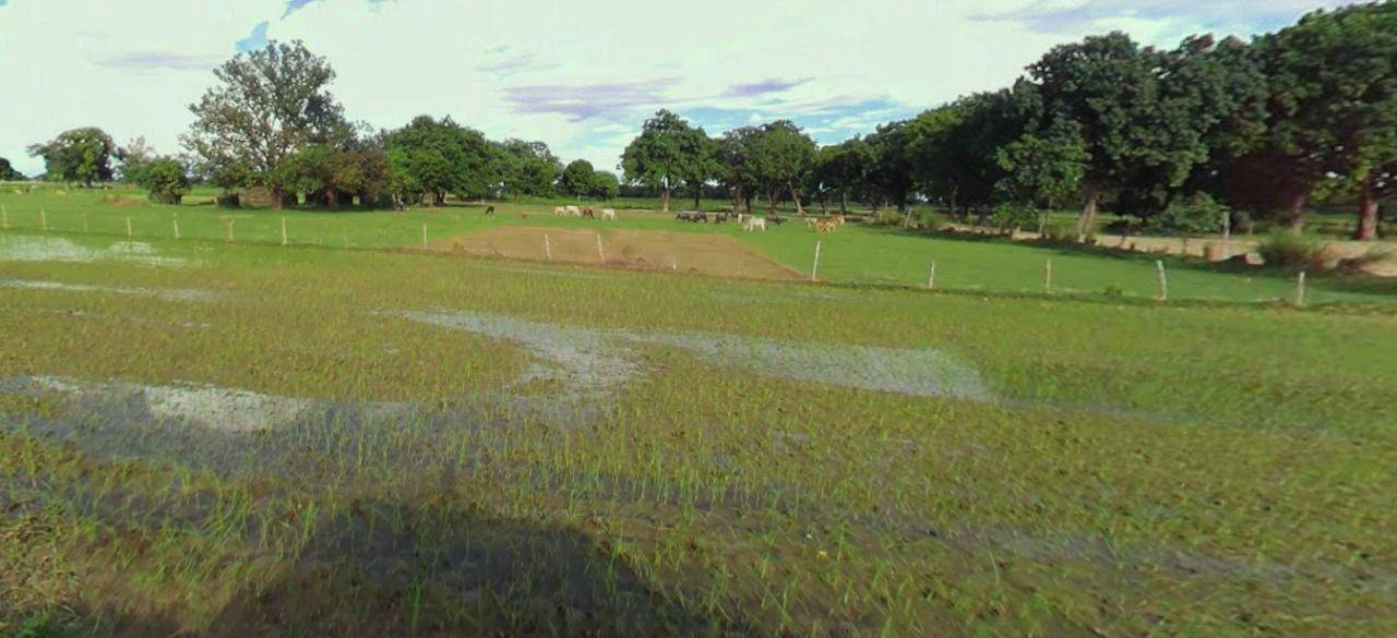 Barnagar, Madhya Pradesh 456771, India