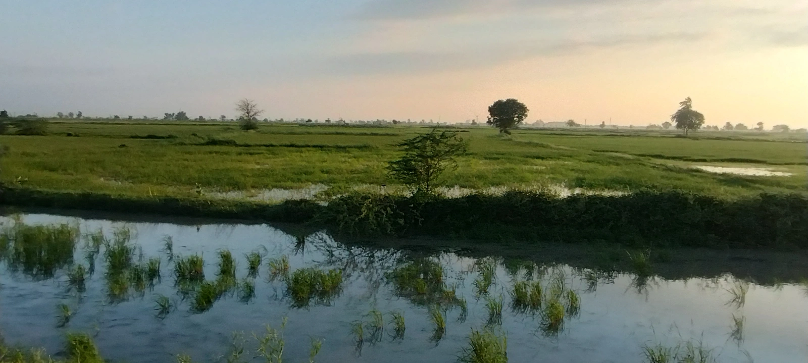 Helak, Rajasthan, India