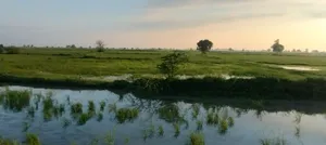 Helak, Rajasthan, India preview 3