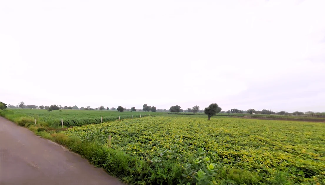 Barwa, Haryana 127045, India