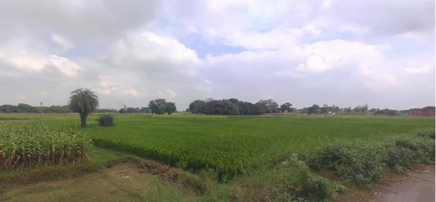 Puranpur, Uttar Pradesh 262122, India