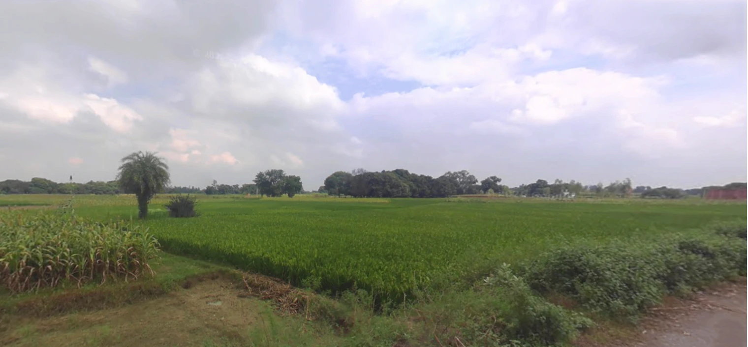 Puranpur, Uttar Pradesh 262122, India